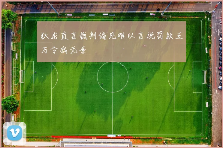 狄龙直言裁判偏见难以言说罚款五万令我无奈